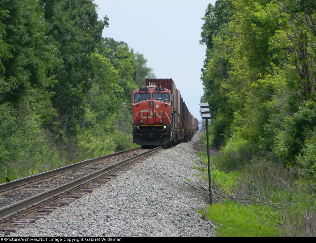 CN 2230